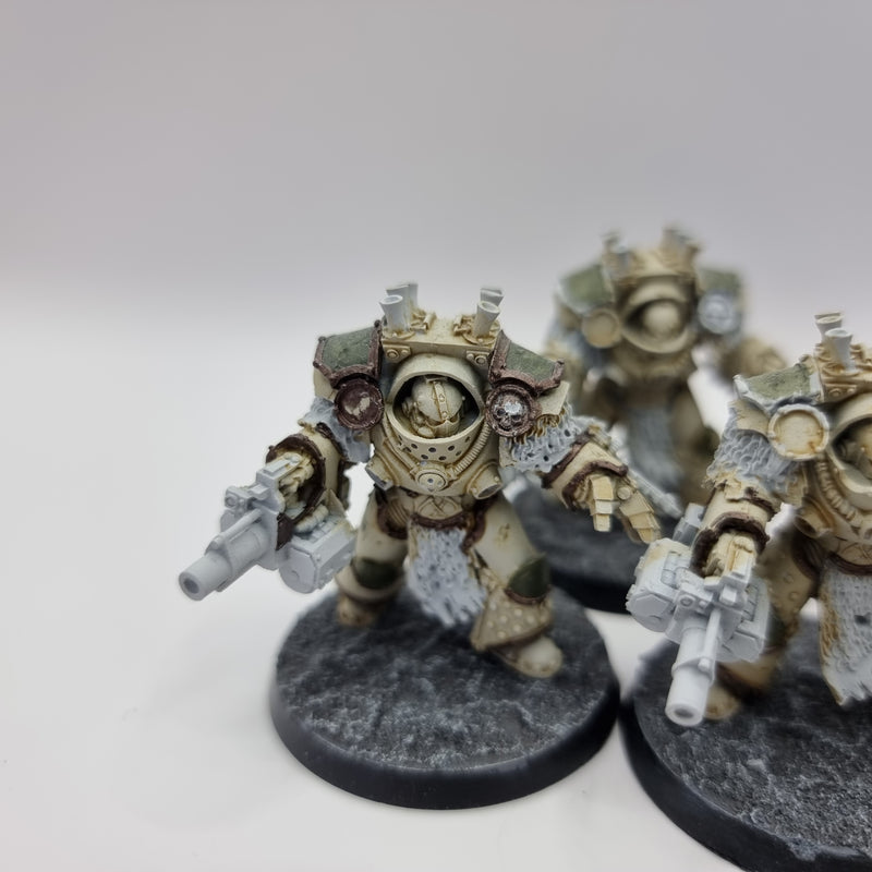 Warhammer Horus Heresy: Legiones Astartes Death Guard Grave Warden Terminators (BA094)