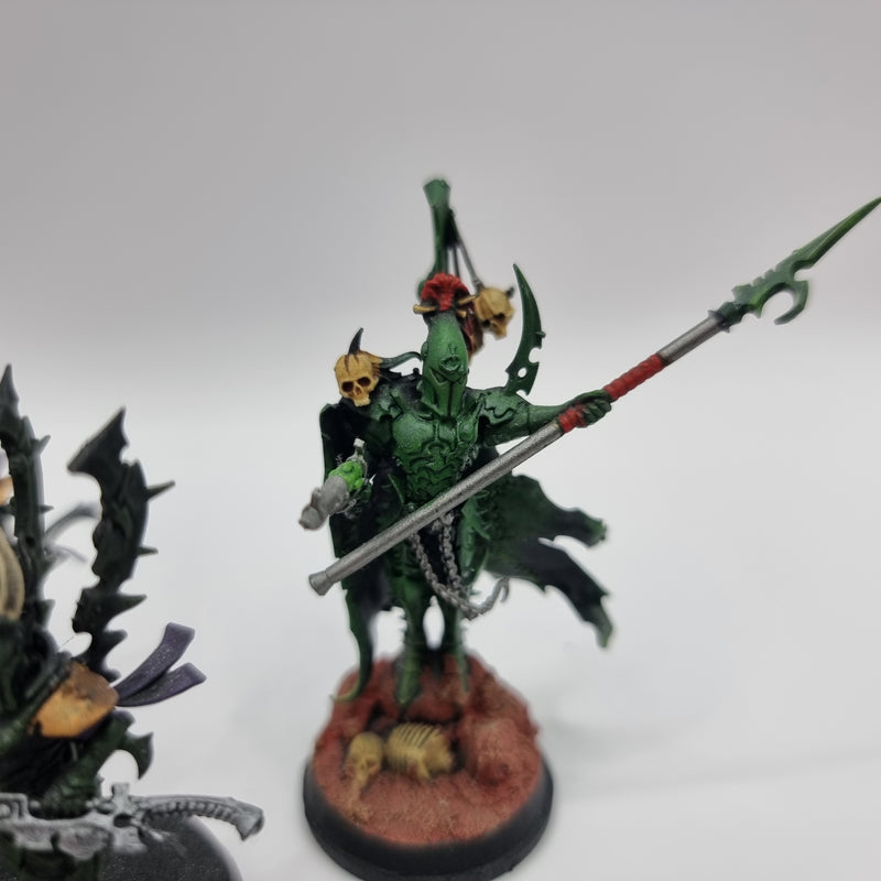 Warhammer 40k: Drukhari Dark Eldar Archon and Incubi (AA106)