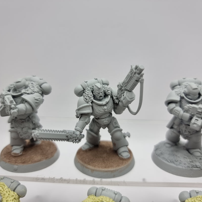 Warhammer 40k: Space Marine Intercessors (AI086)