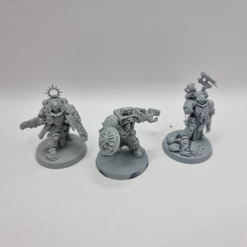 Warhammer 40k: Space Marine Space Wolves Characters Bundle (BC070)