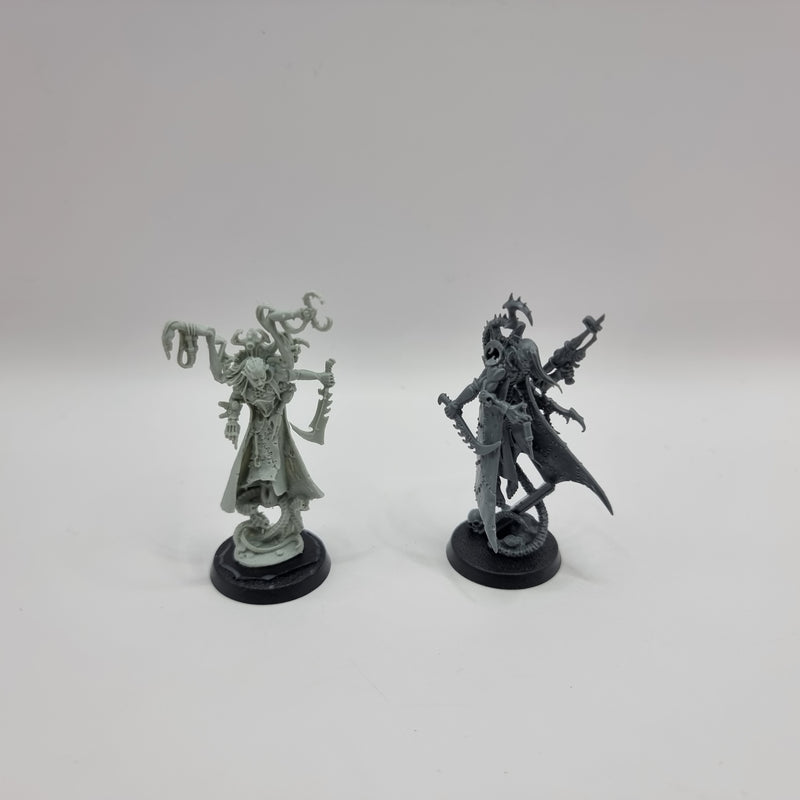 Warhammer 40k: Dark Eldar Drukhari Urien Rakarth and Haemonculus (AT238)