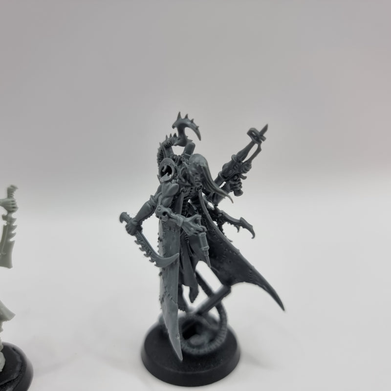 Warhammer 40k: Dark Eldar Drukhari Urien Rakarth and Haemonculus (AT238)