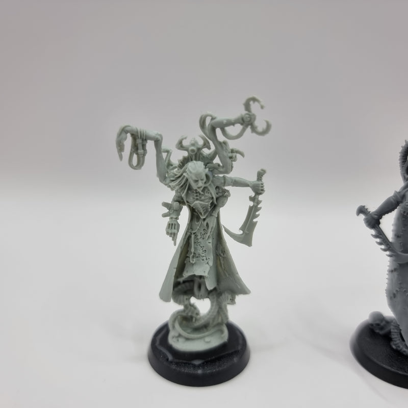 Warhammer 40k: Dark Eldar Drukhari Urien Rakarth and Haemonculus (AT238)