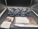 Star Wars Legion Royal Guard x2 Squads (AT167)