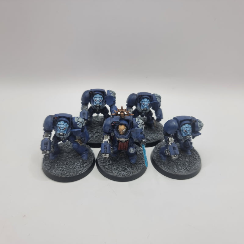 Warhammer 40k: Space Marine Terminators (AQ012)