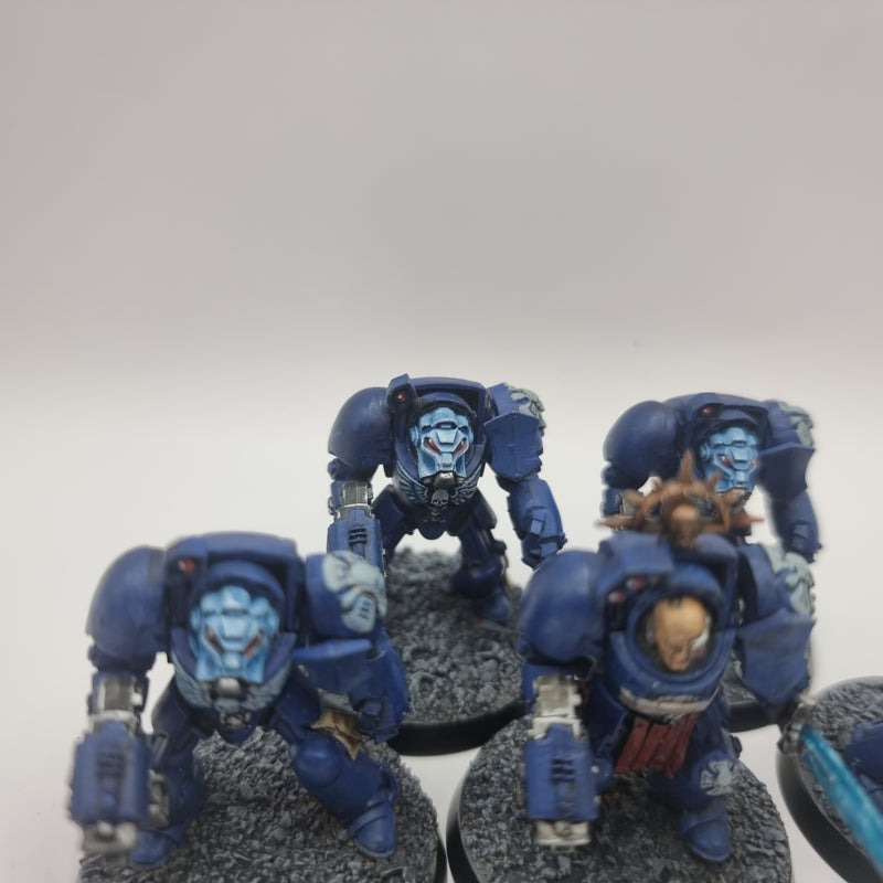 Warhammer 40k: Space Marine Terminators (AQ012)