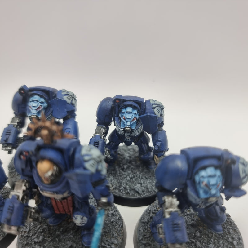 Warhammer 40k: Space Marine Terminators (AQ012)