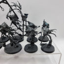 Warhammer Age of Sigmar: Nighthaunt Bundle (AW216)