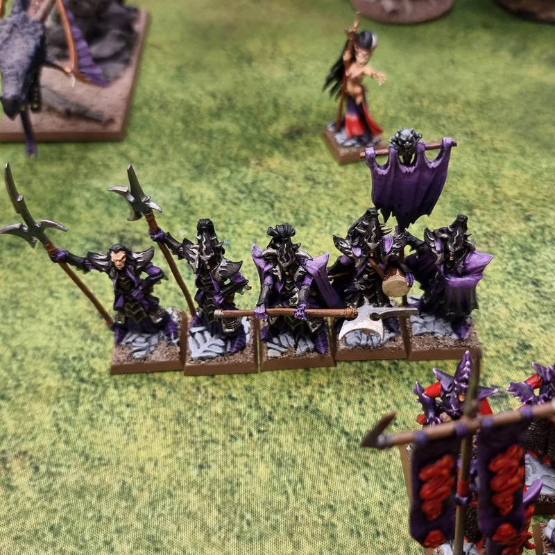 Warhammer Fantasy: Dark Elves Army - Well Painted (AS226)
