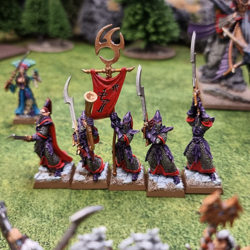 Warhammer Fantasy: Dark Elves Army - Well Painted (AS226)