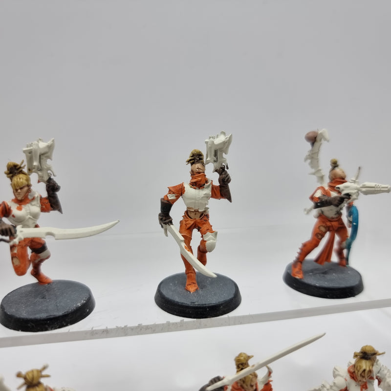 Warhammer 40k: Dark Eldar Drukhari Wyches and Succubus AE009