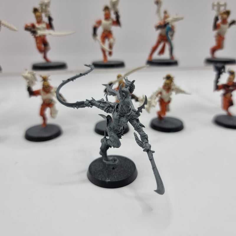 Warhammer 40k: Dark Eldar Drukhari Wyches and Succubus AE009