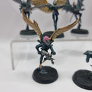 Warhammer 40k: Dark Eldar Drukhari Scourges (BA195)