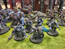 Warhammer 40k Space Wolves Army, Nicely Painted (WC1203)