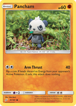 Pancham - 81/181 - Common - Team Up