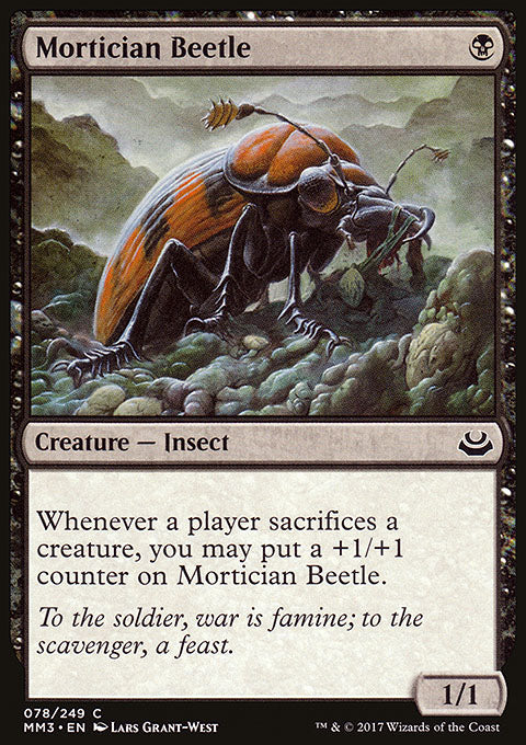 Mortician Beetle