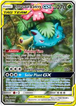 Venusaur & Snivy GX - SM229/248 - Promo - SM Black Star Promos