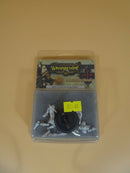 Warmachine Protectorate Of Menoth Feora, Protector Of The Flame Pip 32040 (7001)