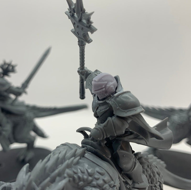 Age of Sigmar Evocators on Celestial Dracolines Headswapped (AX028) - 7th City