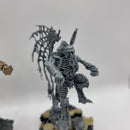 Age of Sigmar: Ossiarch Bonereapers Morghast (BA126) - 7th City