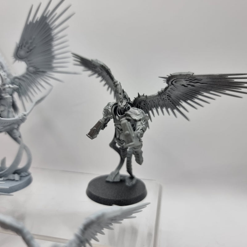 Age of Sigmar: Stormcast Eternals Prosectutors with Celestial Hammer and Knight-Venator (AJ059) - 7th City