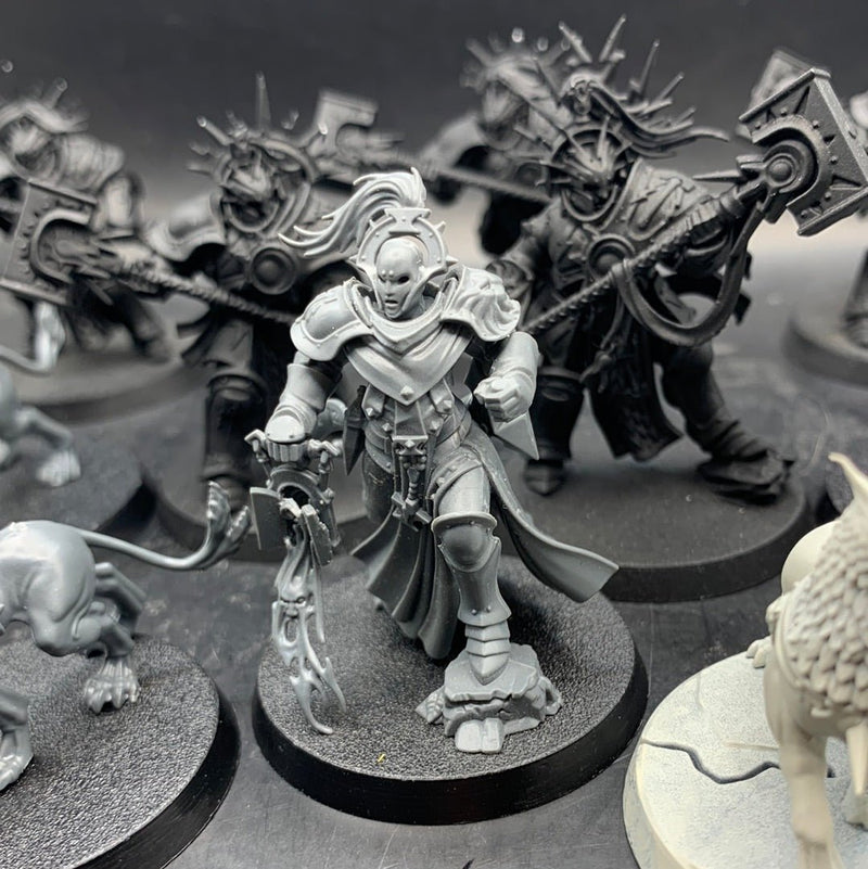 Age of Sigmar Stormcast Eternals Retributors & Gryph Hounds (AA032) - 7th City