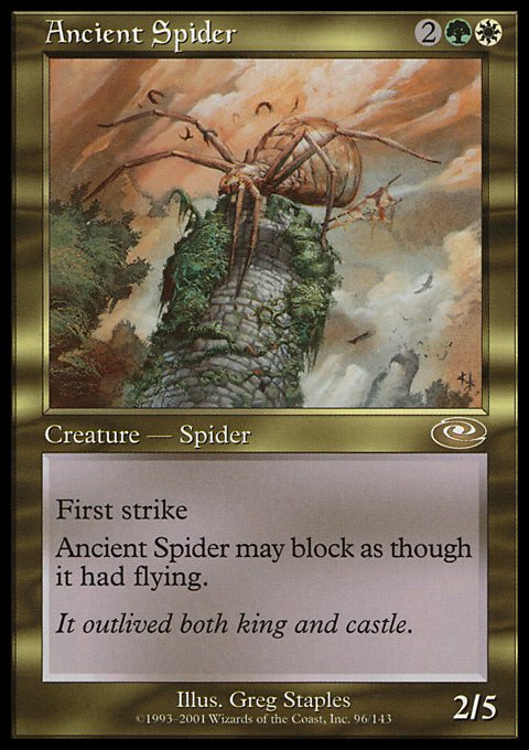 Ancient Spider - 7th City
