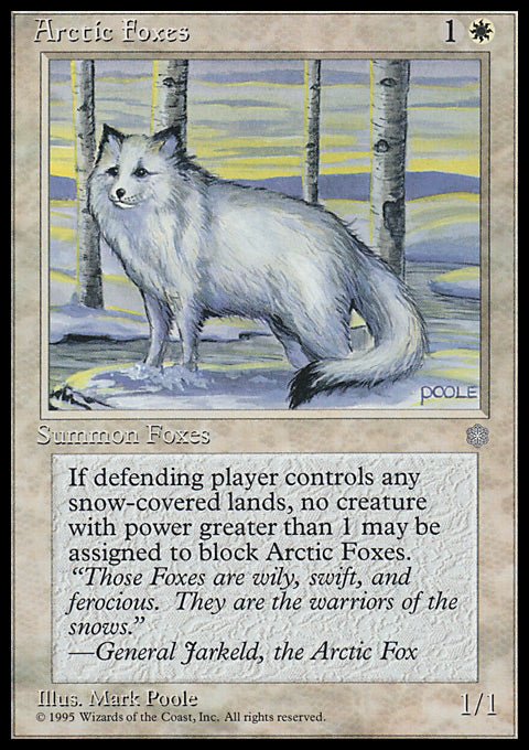 Arctic Foxes - 7th City