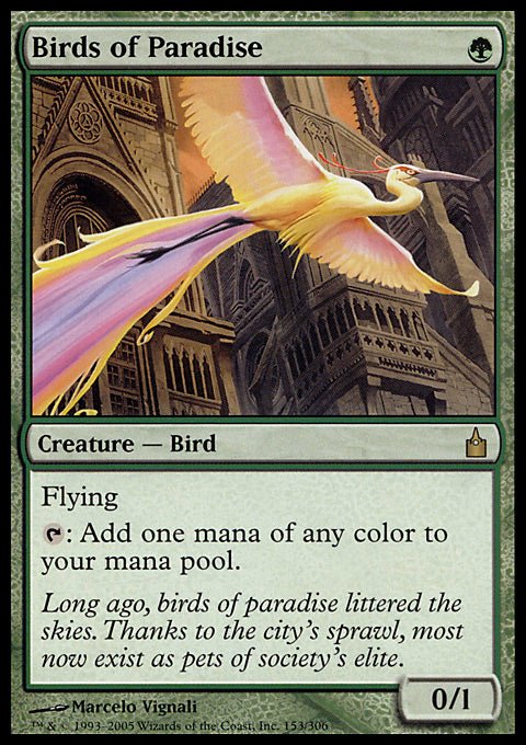 Birds of Paradise - 7th City