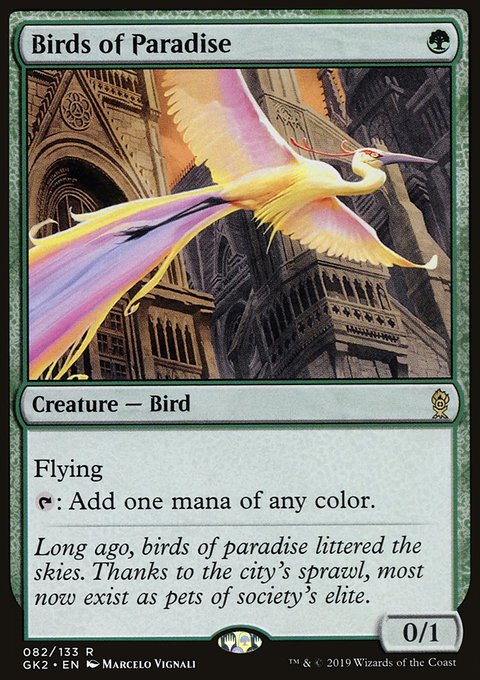 Birds of Paradise - 7th City