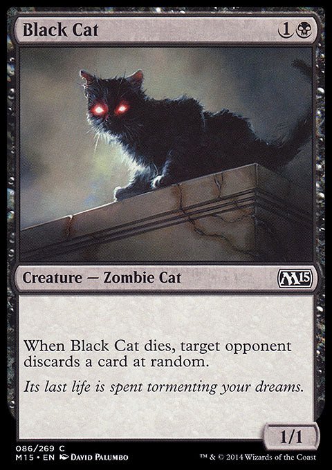 Black Cat - 7th City
