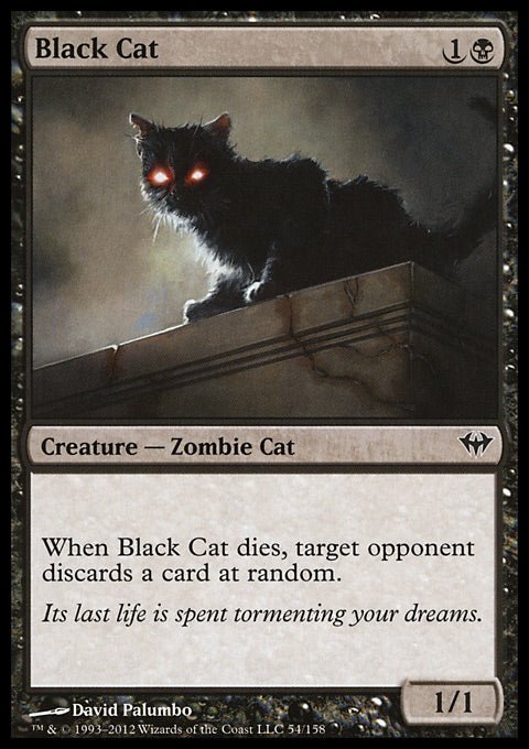 Black Cat - 7th City