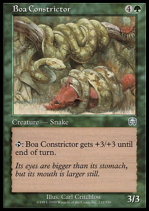 Boa Constrictor - 7th City