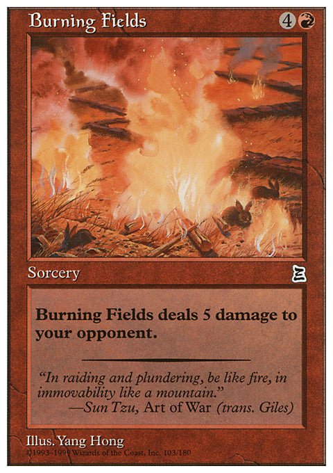 Burning Fields - 7th City
