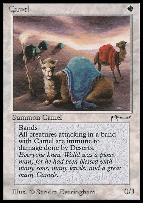 Camel - 7th City