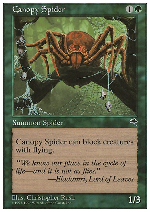 Canopy Spider - 7th City
