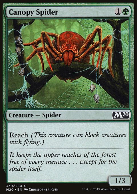Canopy Spider - 7th City
