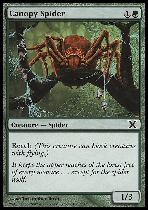 Canopy Spider - 7th City