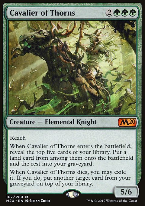Cavalier of Thorns - 7th City