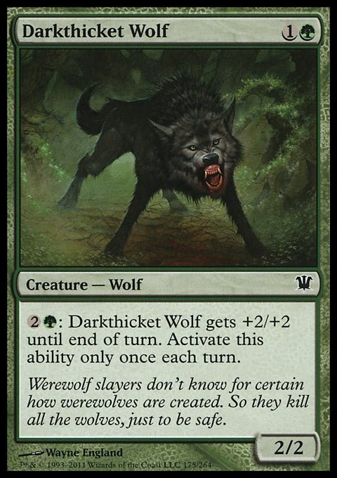 Darkthicket Wolf - 7th City