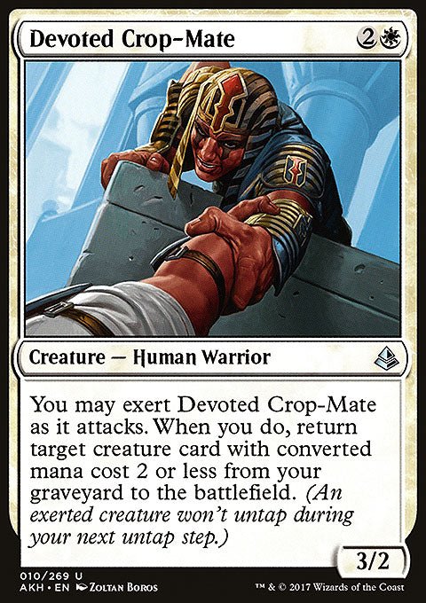 Devoted Crop-Mate - 7th City