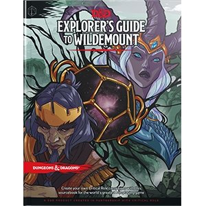 Explorer’S Guide To Wildemount - 7th City