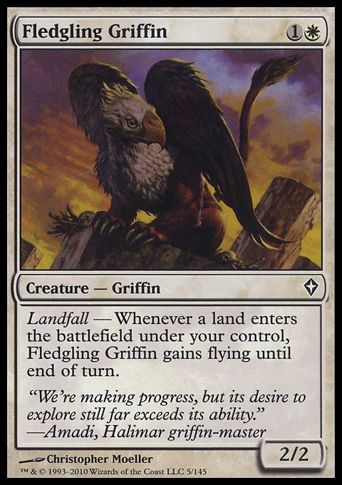 Fledgling Griffin - 7th City