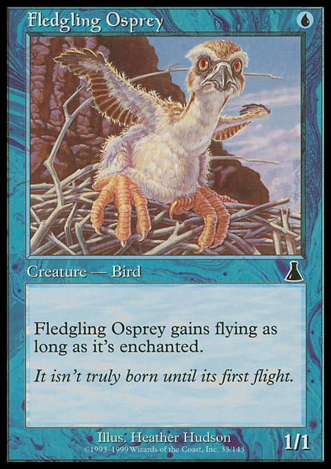 Fledgling Osprey - 7th City