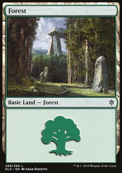 Forest - 7th City