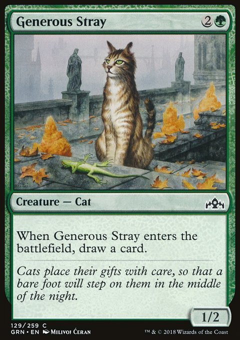 Generous Stray - 7th City