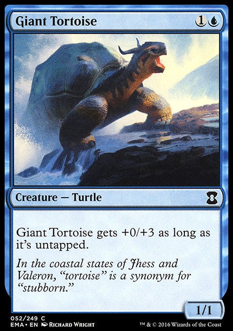 Giant Tortoise - 7th City