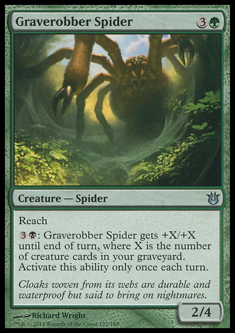 Graverobber Spider - 7th City
