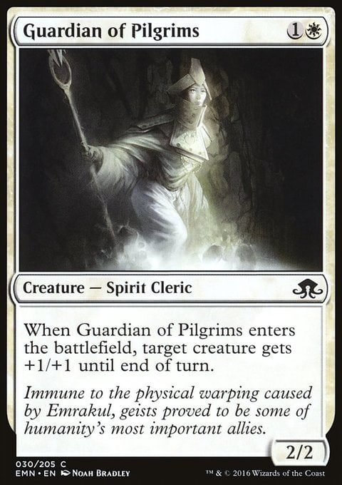 Guardian of Pilgrims - 7th City