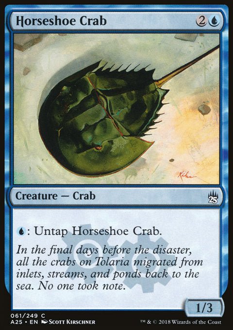 Horseshoe Crab - 7th City